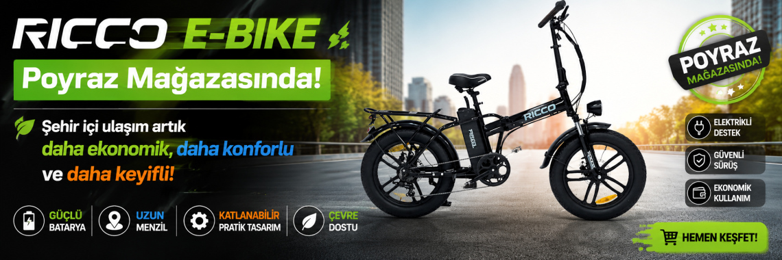 Falcon Ricco E-Bike