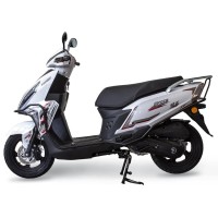 MOCCO 50X