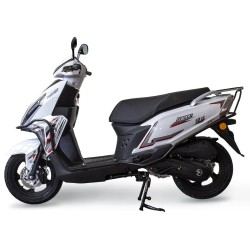 MOCCO 50X
